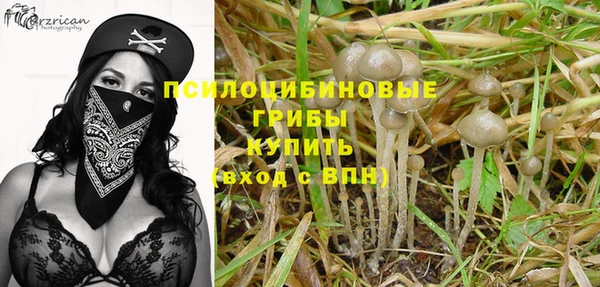 ALPHA PVP Артём