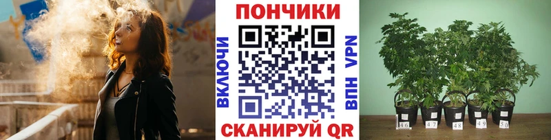 Бошки марихуана Bruce Banner  Вилюйск 